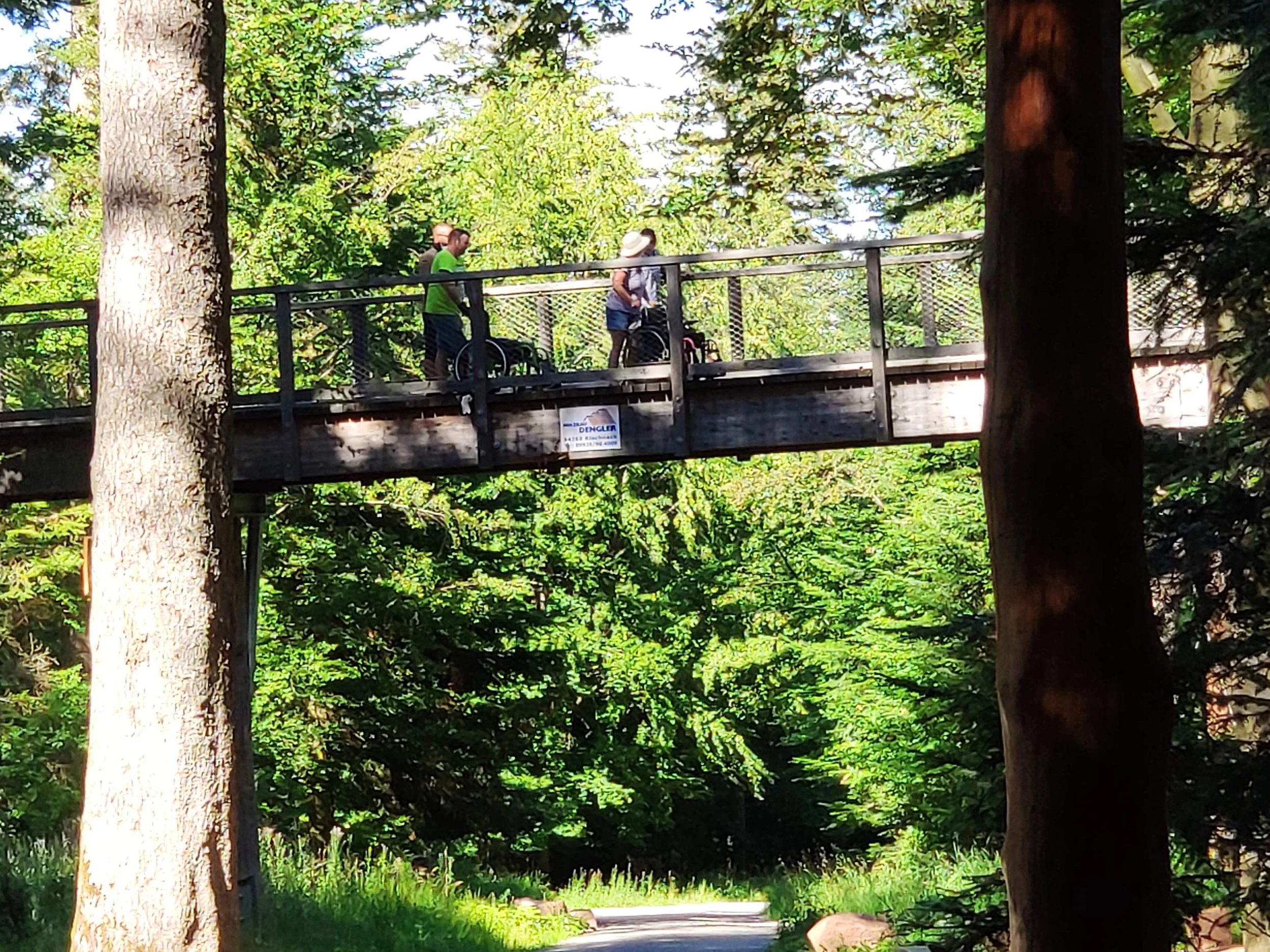 Mit Rollstuhl auf dem Baumwipfelpfad zum Aussichtsturm