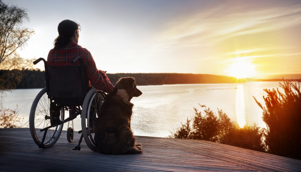 Rollstuhlgerechtes Ferienhaus mit Hund