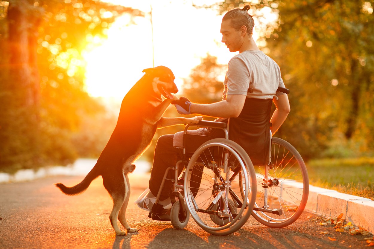Urlaub mit Rollstuhl und Hund