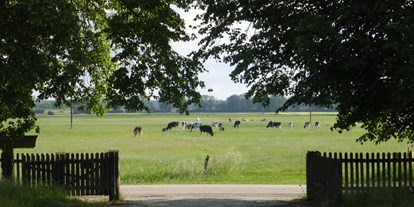 Rollstuhlgerechte Unterkunft - Lüneburger Heide - Die Kühe von Gegenüber - Hof Elsbusch