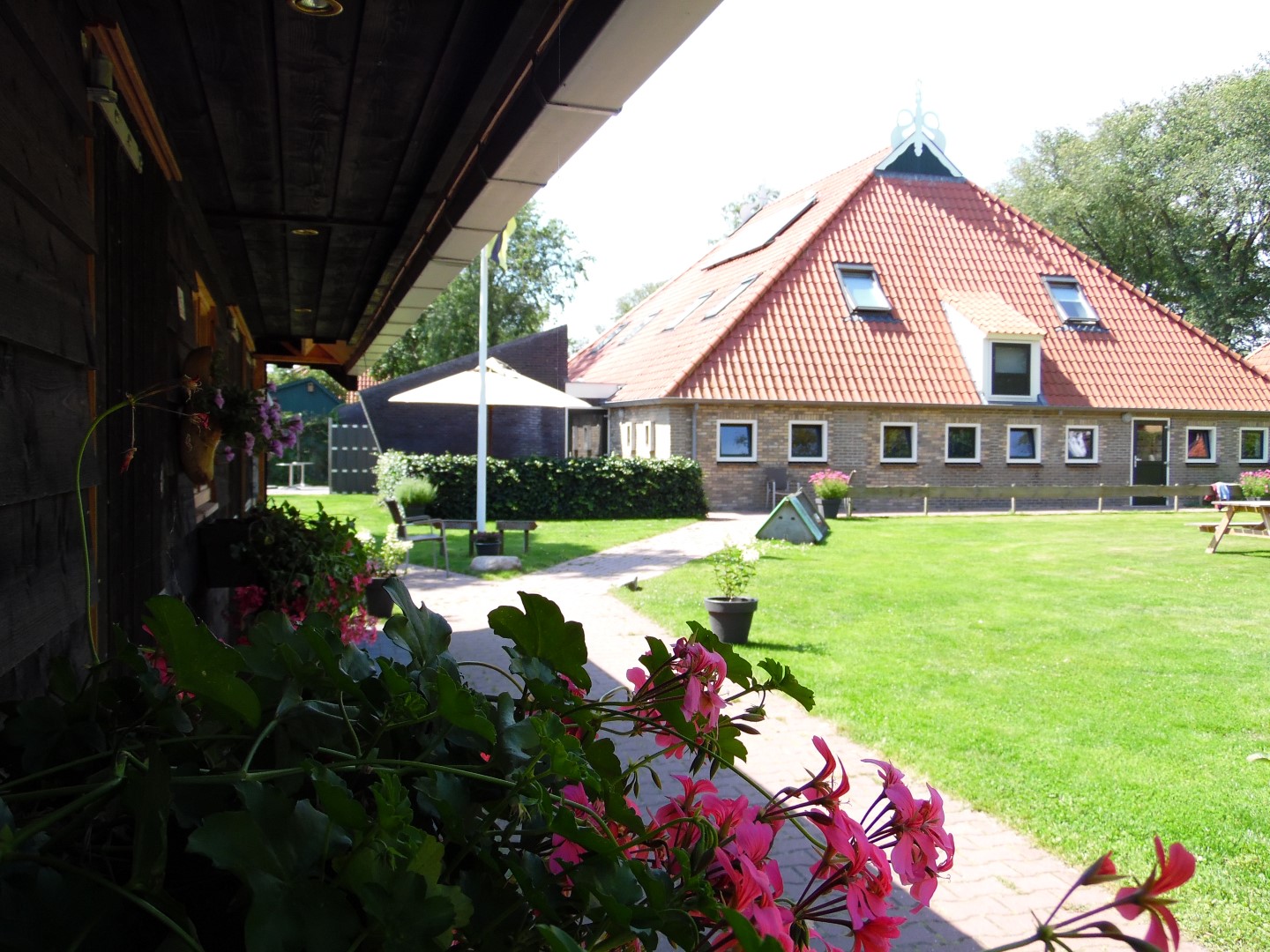 Rollstuhl-Urlaub - Zilte Wind auf Ameland - für einen Urlaub mit und ohne Behinderung. - de Zilte Wind