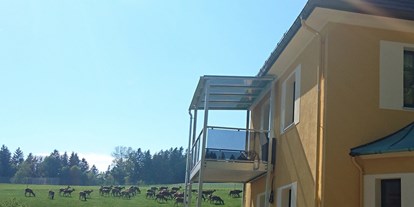 Rollstuhlgerechte Unterkunft - Pflegebett - PLZ 09427 (Deutschland) - Das Highlight: Angrenzende Rotwildfarm - Rollstuhlferienhaus Erzgebirge