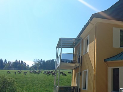 Rollstuhlgerechte Unterkunft - Pflegebett - Das Highlight: Angrenzende Rotwildfarm - Rollstuhlferienhaus Erzgebirge