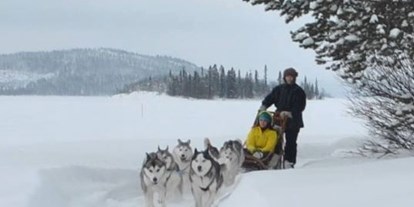 Rollstuhlgerechte Unterkunft - Süd-Lappland - Meet the lovely Siberian Huskies and let them take you across the frozen lake. 2 types of sled to suit all abilities. - The Friendly Moose Lapland