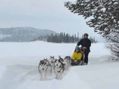 Rollstuhlgerechte Unterkunft - Unterkunftsart: Gästehaus - Norrbottens - Meet the lovely Siberian Huskies and let them take you across the frozen lake. 2 types of sled to suit all abilities. - The Friendly Moose Lapland
