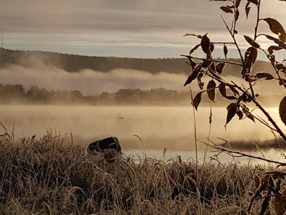 Rollstuhlgerechte Unterkunft - Unterkunftsart: Gästehaus - The first mists and frosts of Autumn on the river Torne. The hill in the background is Finland. We are right on the border between Sweden and Finland so both countries can be explored.  - The Friendly Moose Lapland