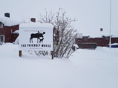 Rollstuhlgerechte Unterkunft - Unterkunftsart: Ferienwohnung - Süd-Lappland - The Friendly Moose in Winter. Temperatures dropped to minus 36 deg c last winter. 

However, because it is often dry and still when we have our coldest temperatures and we give you guidance and help with what to wear you will still keep warm. - The Friendly Moose Lapland