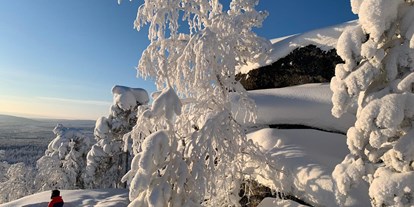 Rollstuhlgerechte Unterkunft - Süd-Lappland - A Winter Wonderland - The Friendly Moose Lapland
