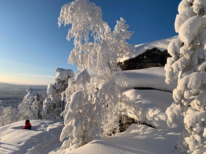 Rollstuhlgerechte Unterkunft - Unterkunftsart: Gästehaus - Norrbottens - A Winter Wonderland - The Friendly Moose Lapland