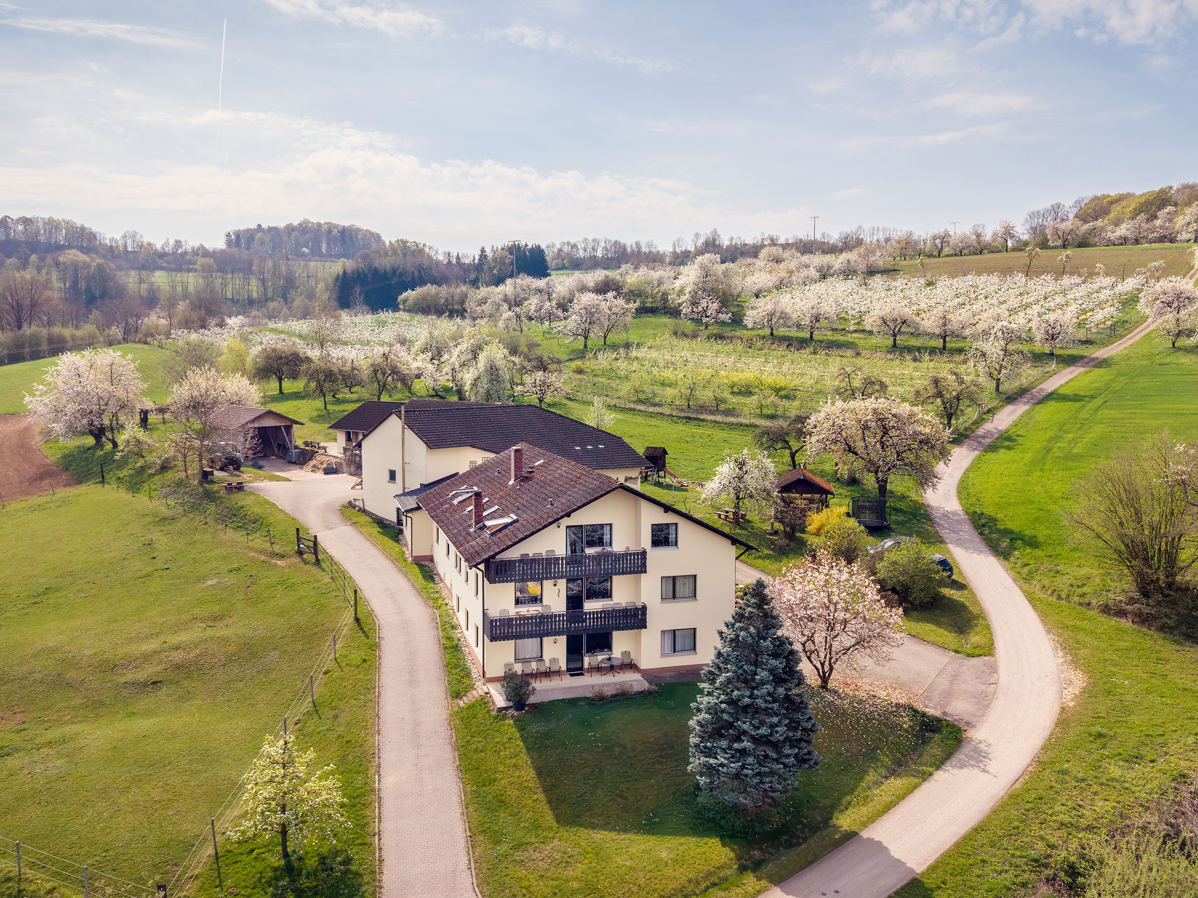 Rollstuhl-Urlaub - Unser Berghof während der Kirschblüte - Ferienhof Schauinsland