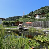 Rollstuhl-Urlaub - Ferienhaus mit Schwimmteich - Bachmannhof