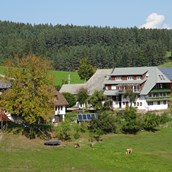 Rollstuhl-Urlaub - Biobauernhof im Schwarzwald mit vielen Tieren und eigener Käserei, inmitten von Natur, sonnig gelegen - Mooshof