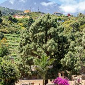 Rollstuhl-Urlaub - Reit-Therapiezentrum inmitten von Natur mit Blick auf den Teide - Riendas Vivas