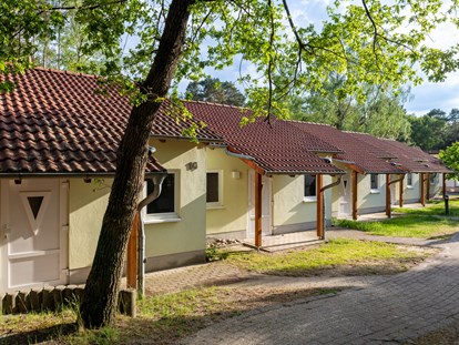 Rollstuhlgerechte Unterkunft - mit Hund - Gülitz-Reetz - Appartements - IDA Integrationsdorf Arendsee