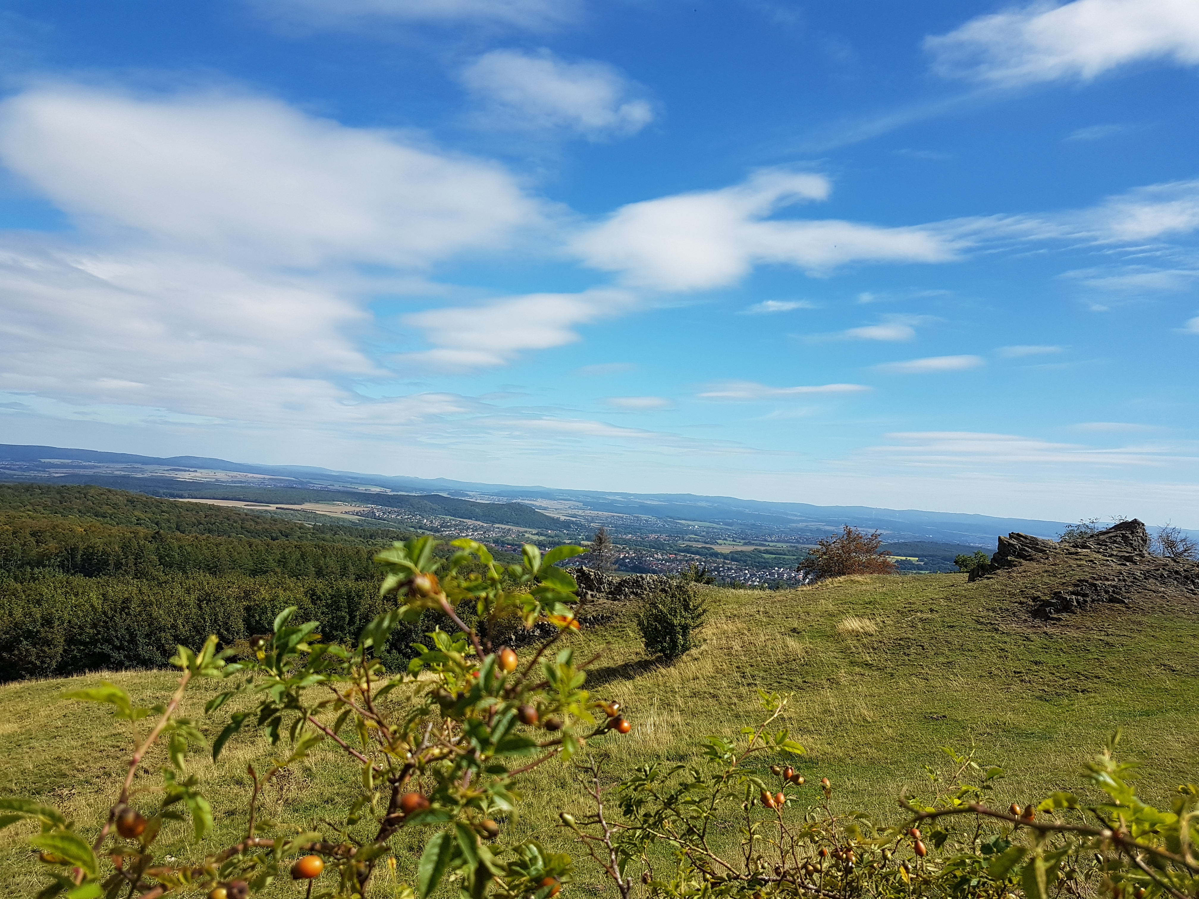 Waldhotel Schäferberg Ausflugsziele speziell für Rollstuhlfahrer Naturpark Habichtswald