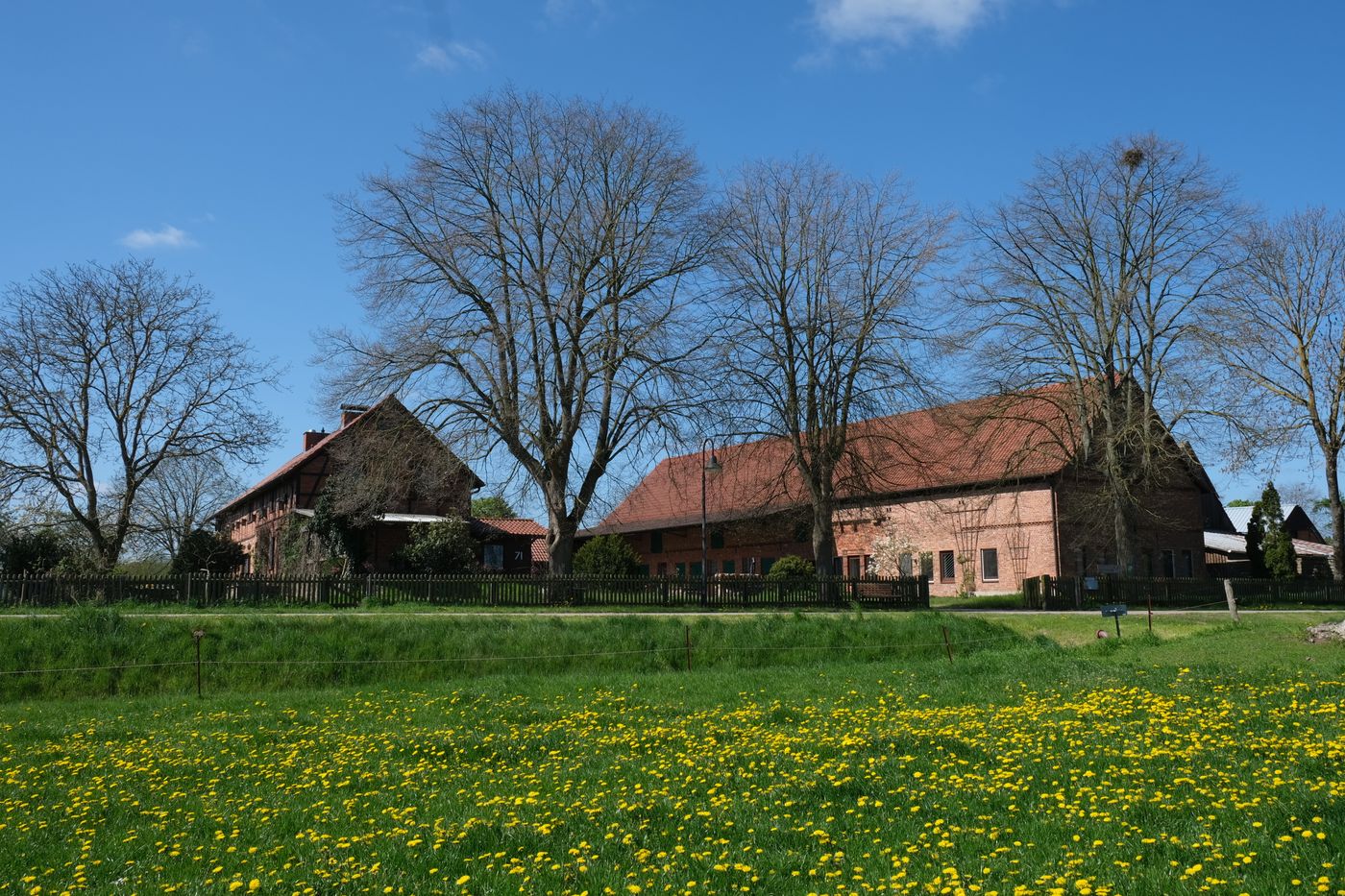Rollstuhlgerechte Unterkunft - Barrierefreiheit-Merkmale: Für Gäste mit Gehbehinderung oder Rollstuhlfahrer - Pirow - Hofansicht im Frühling - Hof Elsbusch