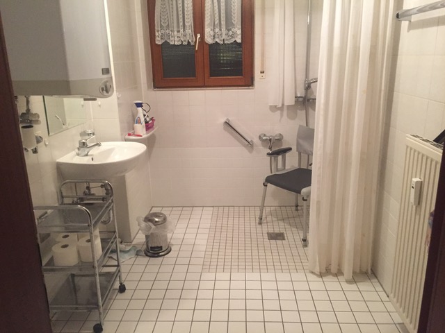 Rollstuhl-Urlaub: Bad mit Dusche & WC - Barrierefreie Ferienwohnung Bodenseeblick