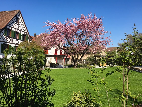 Rollstuhl-Urlaub: Hotel Garten - Ferienhotel Bodensee, Stiftung Pro Handicap
