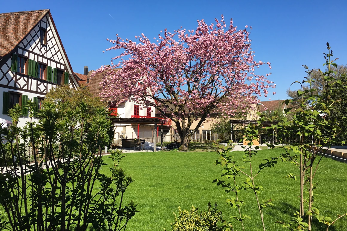 Rollstuhl-Urlaub: Hotel Garten - Ferienhotel Bodensee, Stiftung Pro Handicap