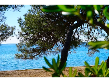 Rollstuhl-Urlaub: Casa Mia *barrierefrei* Holiday Village 12