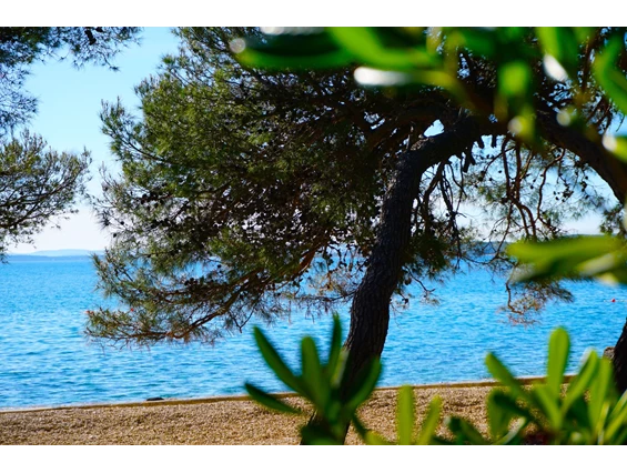 Rollstuhl-Urlaub: Casa Mia *barrierefrei* Holiday Village 12