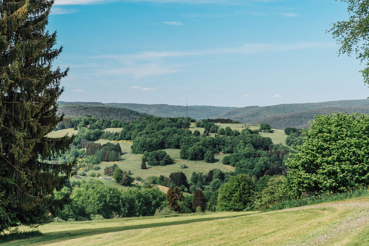 Rollstuhl-Urlaub: Landschaft - Landhotel Spessartruh