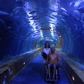 Rollstuhl-Urlaub: Wassertunnel, mit dem Rollstuhl durch - Residencial Thomas A1-A4