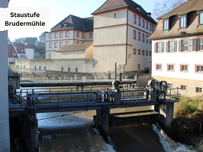 Rollstuhlgerechte Unterkunft - Pflegebett - Staustufe Brudermühle, Bamberg - Unser Schwalbennest