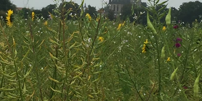Rollstuhlgerechte Unterkunft - Unterkunftsart: Ferienhaus - Blick aus der Natur zum Xantener Dom - Ferienhaus "Am Dombogen" Xanten