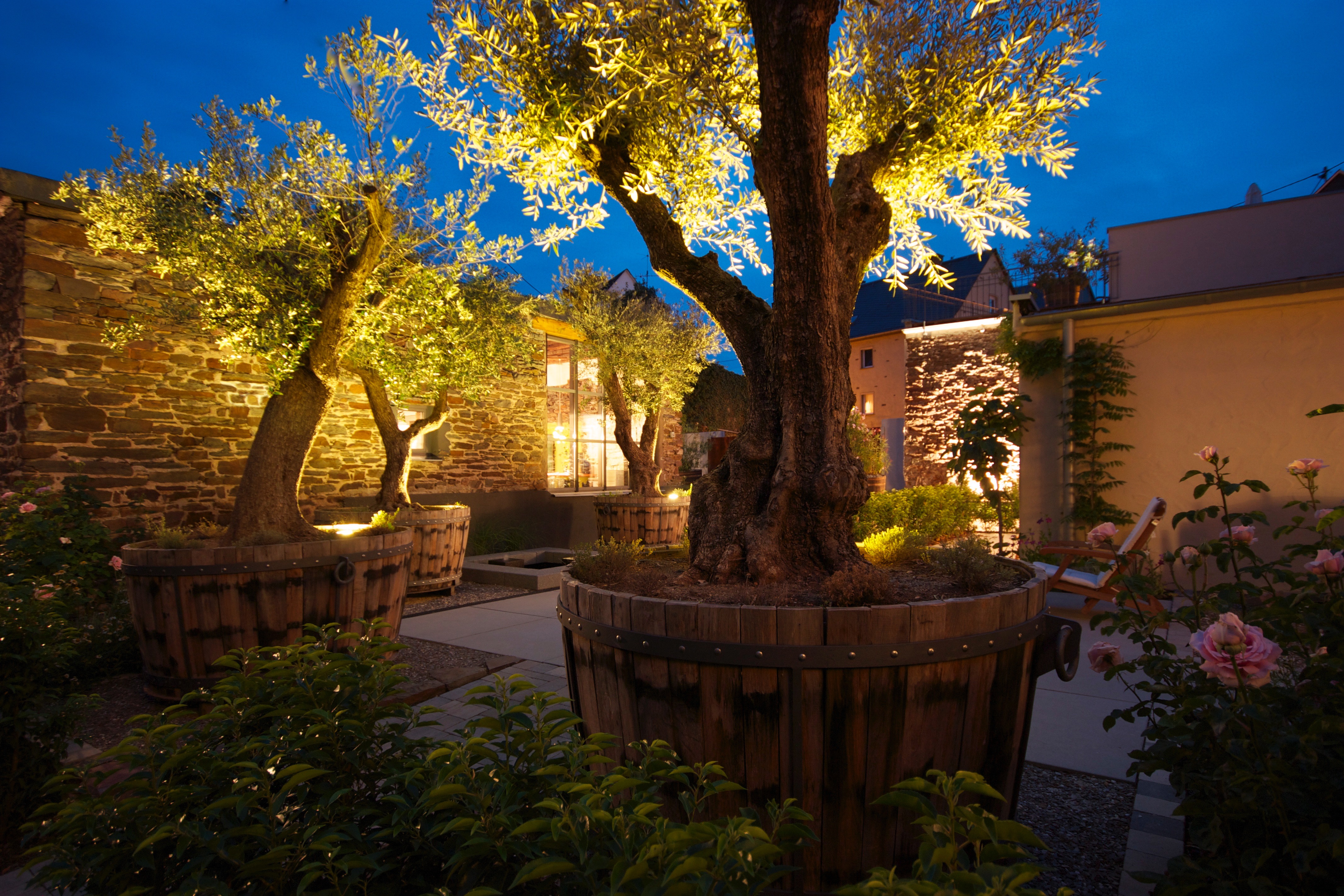 Rollstuhl-Urlaub: Senhalser Höfe Parkanlage bei Nacht - Senhalser Höfe - Apartment Gartenhaus