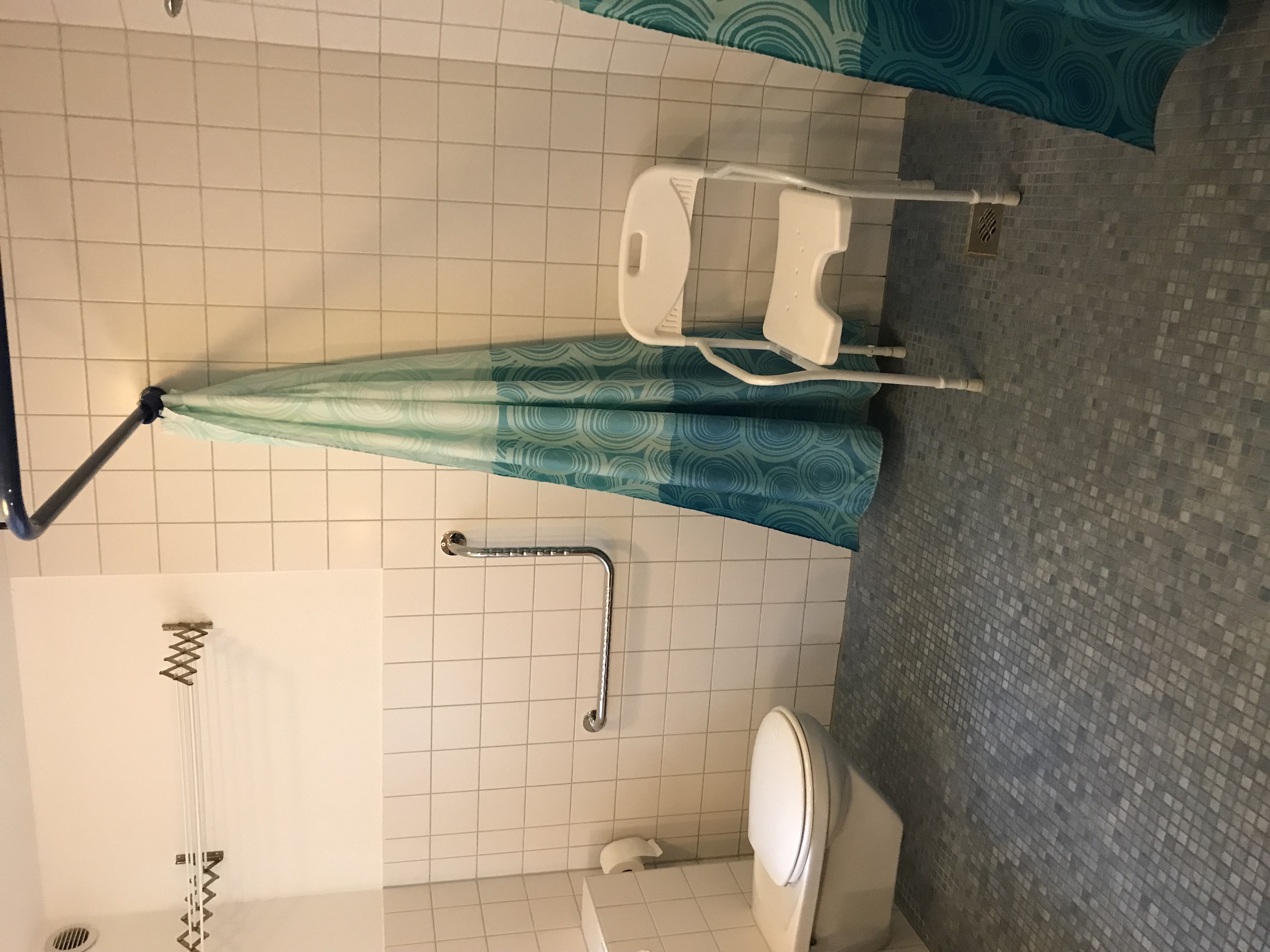 Rollstuhl-Urlaub: Erhöhte Behindertentoilette - Strand- und hafennahe Ferienwohnung 