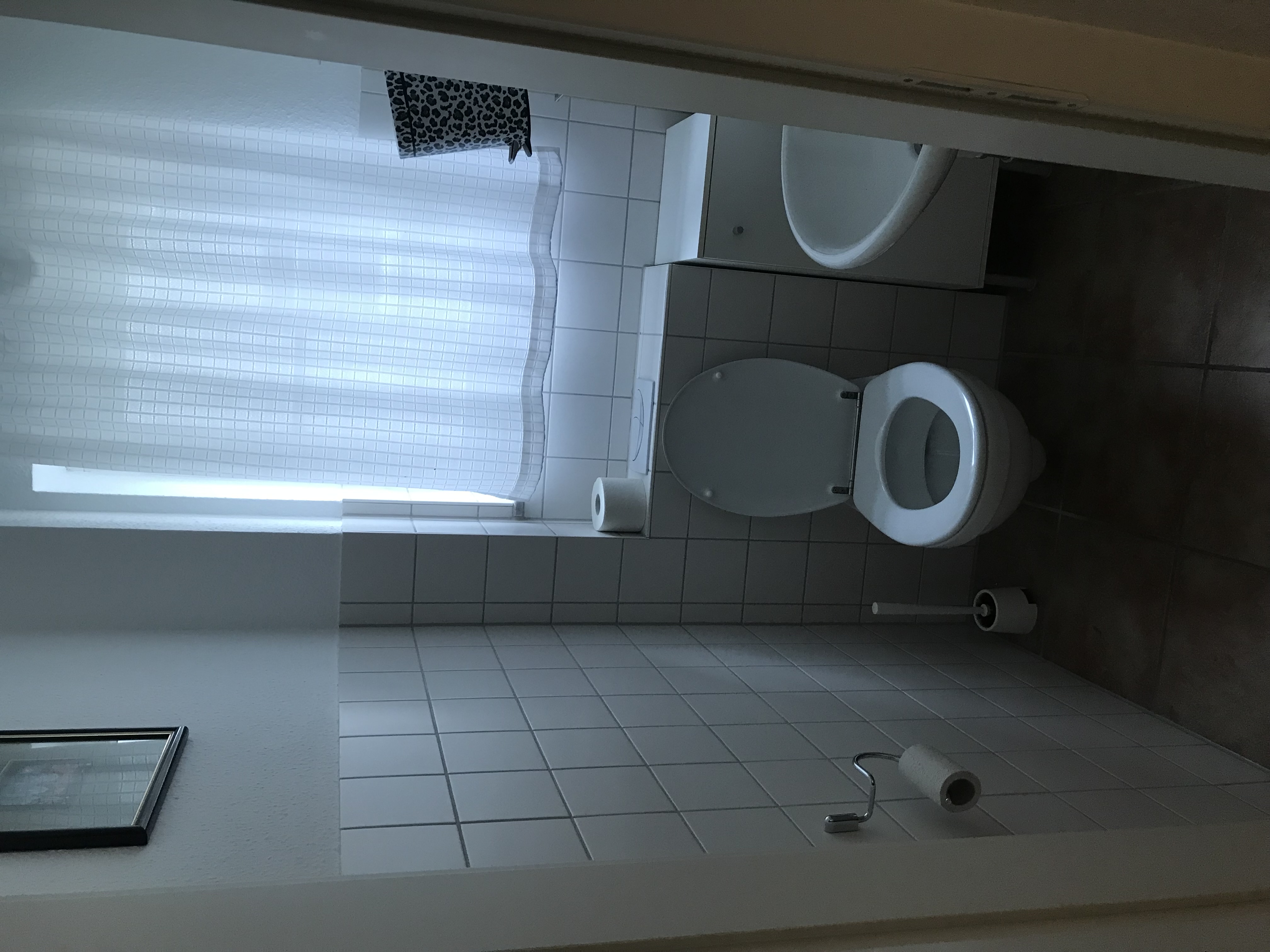 Rollstuhl-Urlaub: Gäste-WC - Strand- und hafennahe Ferienwohnung 