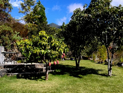 Rollstuhlgerechte Unterkunft - Unterkunftsart: Ferienhaus - Sitzplatz und Liegewiese - Villa Finca Tijarafe mit beheiztem Pool - barrierefreier Eingang