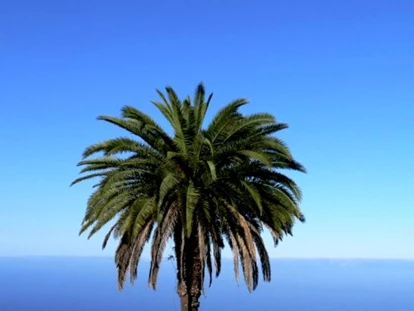 Rollstuhlgerechte Unterkunft - Unterkunftsart: Ferienhaus - Relax La Palma - Villa Atlantico mit beheiztem Pool und barrierefreiem Eingang