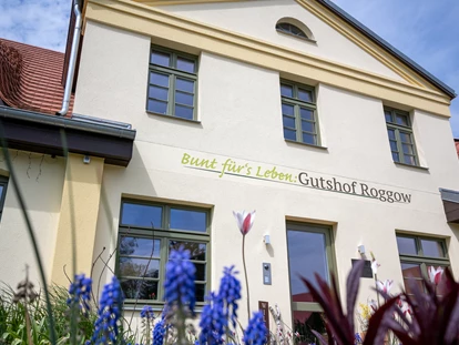Rollstuhlgerechte Unterkunft - Pflegebett - "Bunt fürs Leben" ist unser Motto - Gutshof Roggow bei Güstrow