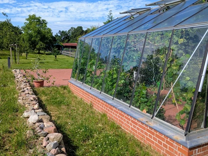 Rollstuhlgerechte Unterkunft - Pflegebett - Ein Refugium im Grünen – Das Gewächshaus im Park des Gutshofes Roggow
Inmitten des liebevoll gepflegten Parks lädt das historische Gewächshaus des Gutshofes Roggow zu Muße und Erholung ein. Umgeben von üppigem Pflanzenwuchs genießen unsere Gäste hier eine ruhige Sitzgelegenheit, die bei jedem Wetter Schutz bietet und zugleich den Blick ins Grüne eröffnet. Ein idealer Ort für entspannte Gespräche, das Lesen eines Buches oder einfach zum Verweilen inmitten der Natur. - Gutshof Roggow bei Güstrow
