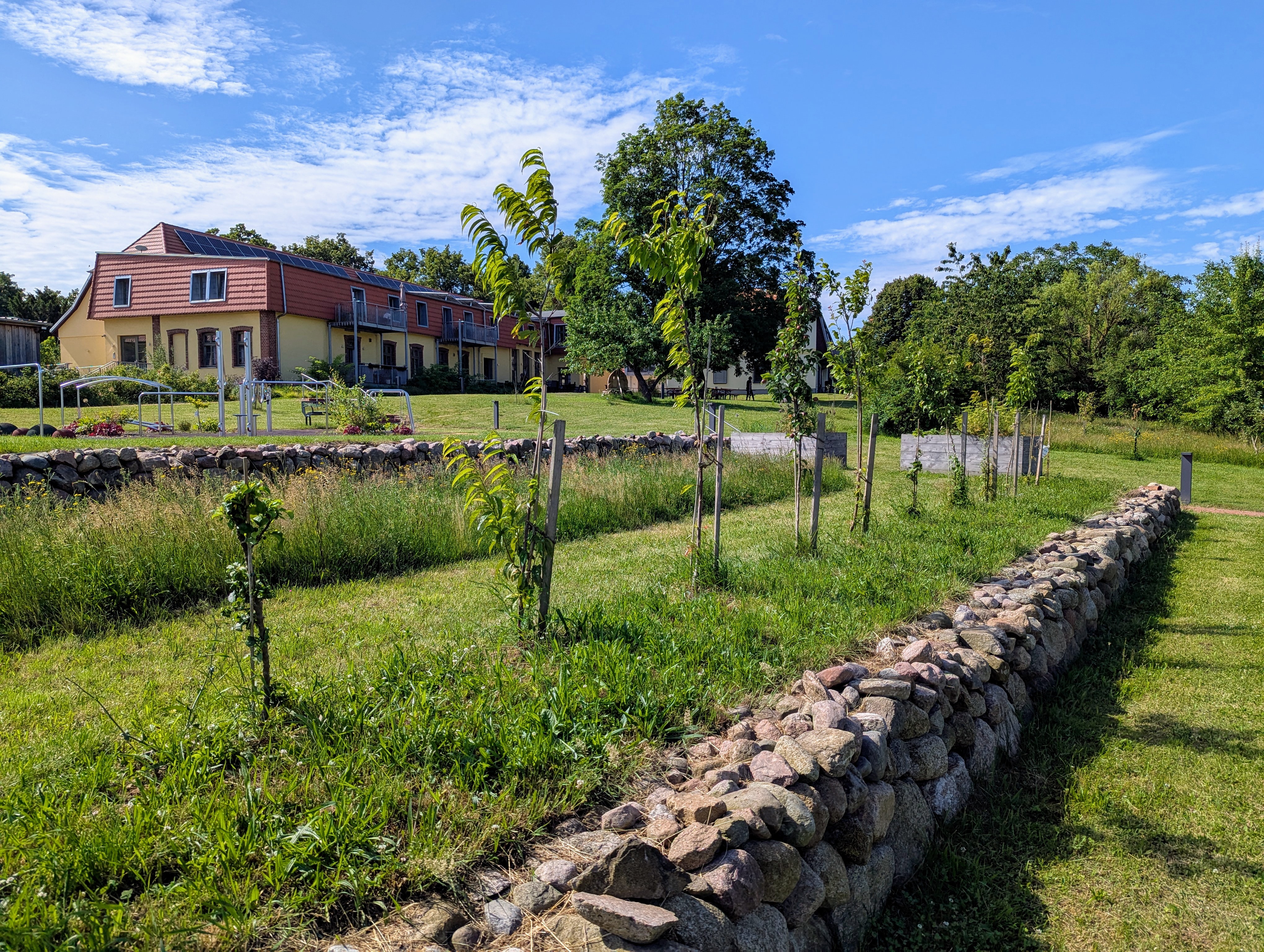 Rollstuhl-Urlaub: Ein Park zum Verweilen – Die grüne Oase des Gutshofes Roggow

Rund um den Gutshof Roggow erstreckt sich eine liebevoll gestaltete Parkanlage, die mit ihrem alten Baumbestand und weitläufigen Wiesen zum Innehalten einlädt. Das Gewächshaus mit gemütlicher Sitzecke für kühlere Tage, eine idyllische Schafweide, ein kleiner Teich und die artenreiche Streuobstwiese sowie die professionell angelegten Staudenbeete verleihen dem Park seinen besonderen Charakter. Gepflegte Wege führen vorbei an sonnigen und schattigen Plätzen, während zahlreiche Sitzbänke Gelegenheit bieten, den Blick über die mecklenburgische Landschaft schweifen zu lassen.

Ein Ort, der Ruhe schenkt und zugleich Raum für Begegnung und Naturerlebnis bietet – für unsere Feriengäste ebenso wie für Besucher des Gutshofes. - Gutshof Roggow bei Güstrow