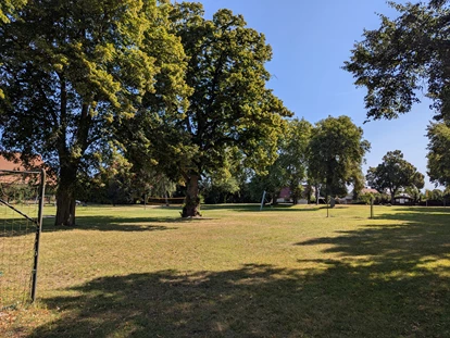 Rollstuhlgerechte Unterkunft - Pflegebett - Bolzplatz direkt vor dem Gutshof - Gutshof Roggow bei Güstrow