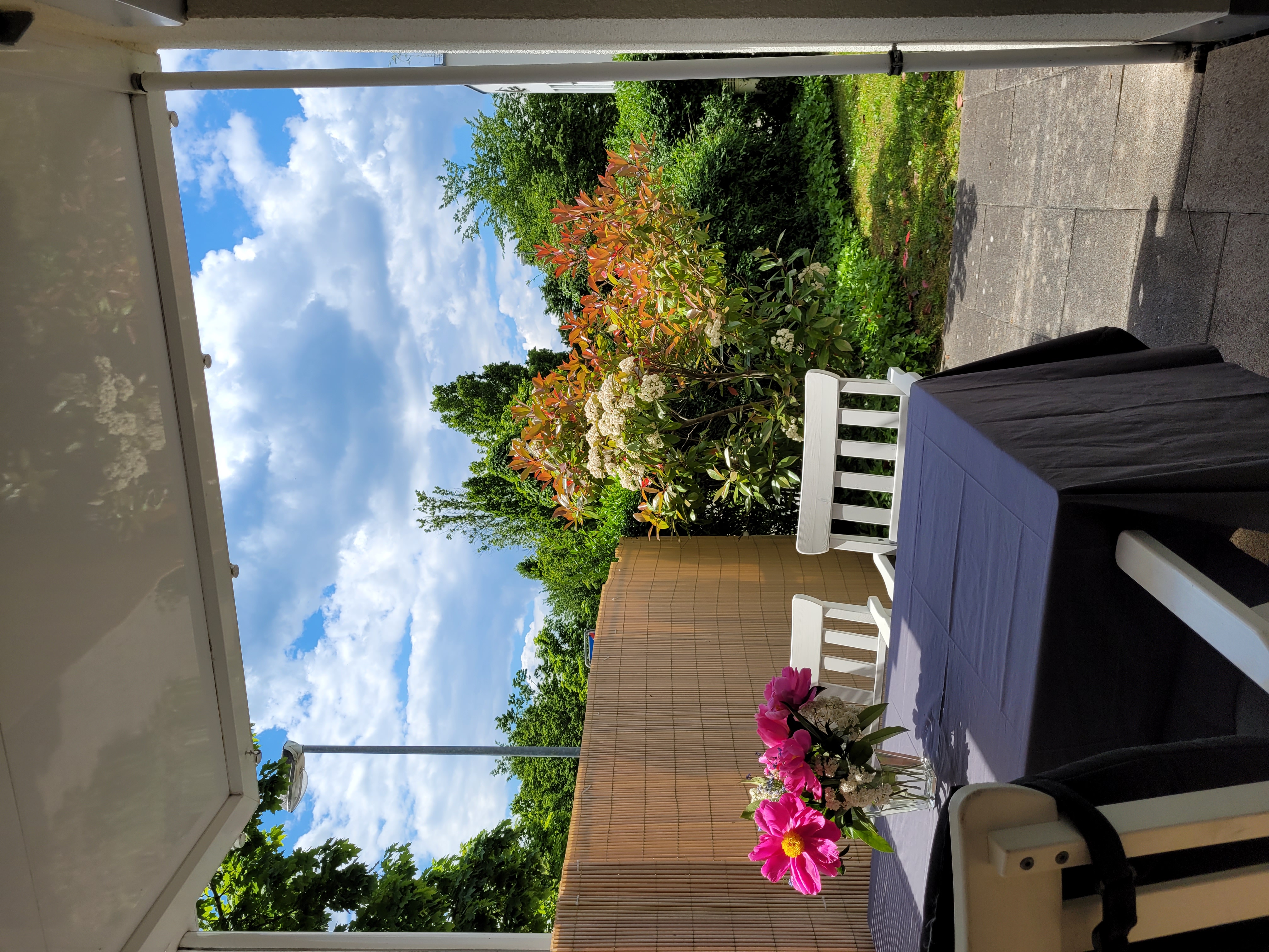 Rollstuhl-Urlaub: Terrasse, 4 Sitzplätze - FeWo Seewind barrierefrei Überlingen am Bodensee