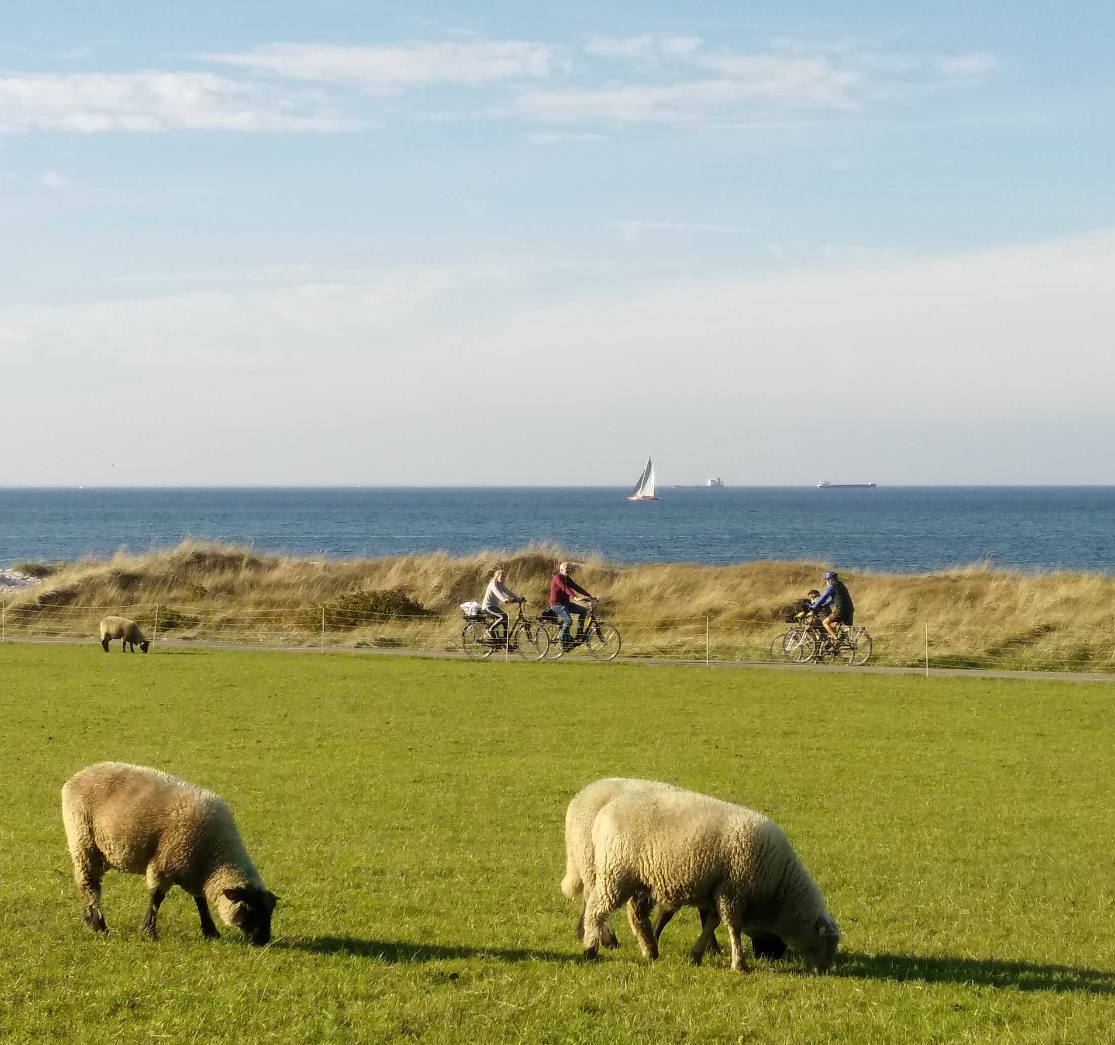 Rollstuhl-Urlaub: Ferienhof Wisch 