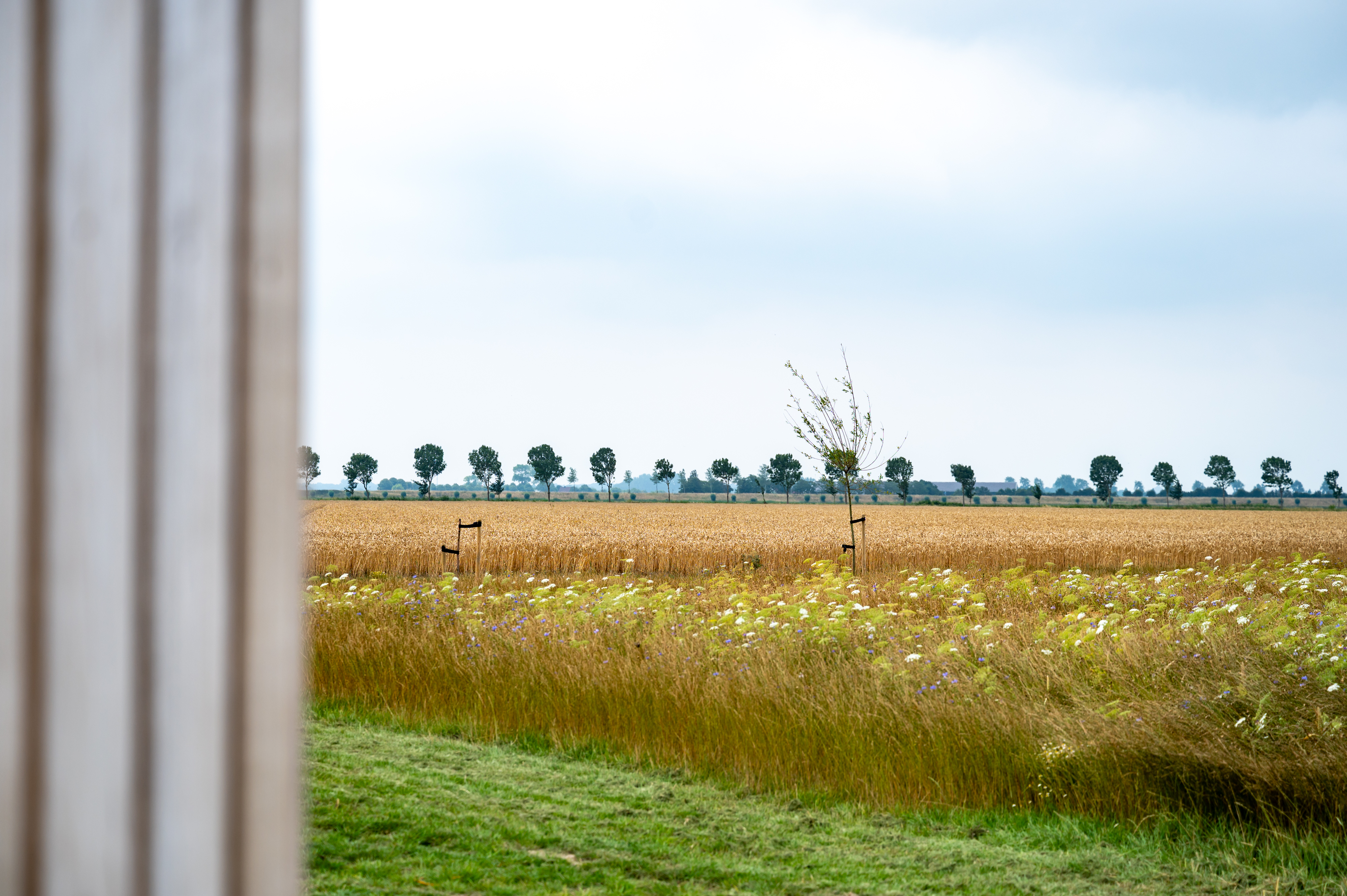 Rollstuhl-Urlaub: Blick - Landgoed Oud Bommenede
