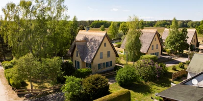 Rollstuhlgerechte Unterkunft - Unterkunftsart: Ferienhaus - Reetdachhäuser in Krienke - Reetdachhaus mit Schwimmteich in Krienke