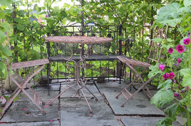 Rollstuhl-Urlaub: Weinlaube beim Schwimmteich - ChaletMandl bei Zell am See