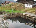 Rollstuhl-Urlaub: Schwimmteich - Villa Mandl bei Zell am See Pool Sauna Hunde erl. Rollstuhlgängig