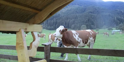 Rollstuhlgerechte Unterkunft - Unterkunftsart: Ferienhaus - neugierige Besucher vor Grillpavillon - Villa Mandl bei Zell am See Pool Sauna Hunde erl. Rollstuhlgängig