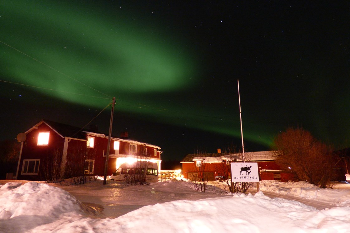 Rollstuhl-Urlaub: The beautiful Northern Lights over The Friendly Mose - The Friendly Moose Lapland