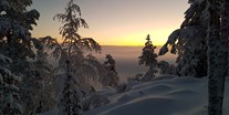 Rollstuhlgerechte Unterkunft - Pflegebett - Nordschweden - Amazing winter snowscapes - The Friendly Moose Lapland
