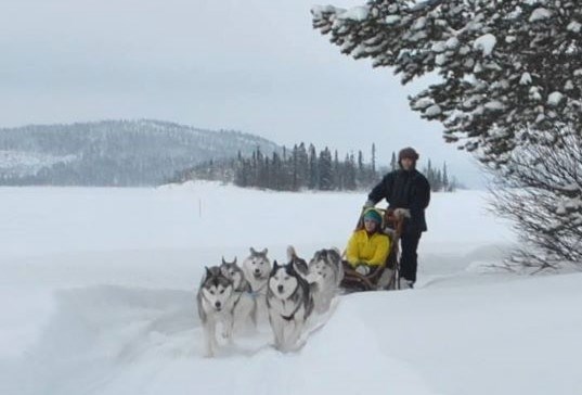 Rollstuhl-Urlaub: Meet the lovely Siberian Huskies and let them take you across the frozen lake. 2 types of sled to suit all abilities. - The Friendly Moose Lapland