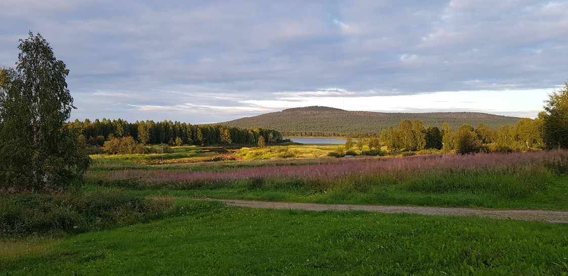 Rollstuhl-Urlaub: There are beautiful views from the property and accessible footpaths by the Friendly Moose throughout the year. - The Friendly Moose Lapland