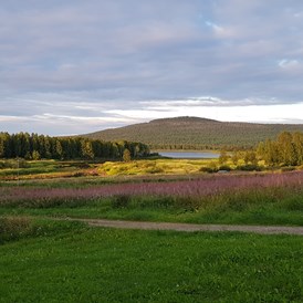 Rollstuhl-Urlaub: There are beautiful views from the property and accessible footpaths by the Friendly Moose throughout the year. - The Friendly Moose Lapland